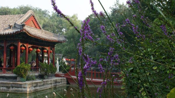 Poznaj Pekin: Rezydencja księcia Gonga